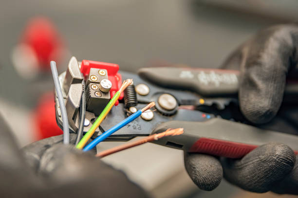 Best Electric Panel Repair  in Vidor, TX